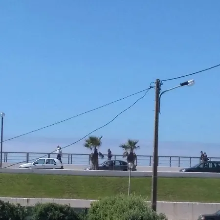 Pedro&perolla Lägenhet Gafanha da Vagueira